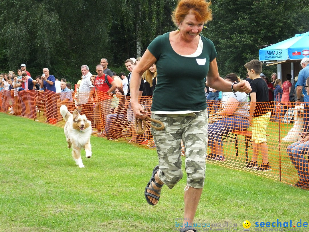 Struppirennen im Tierschutzverein: Bad-Saulgau, 04.09.2016