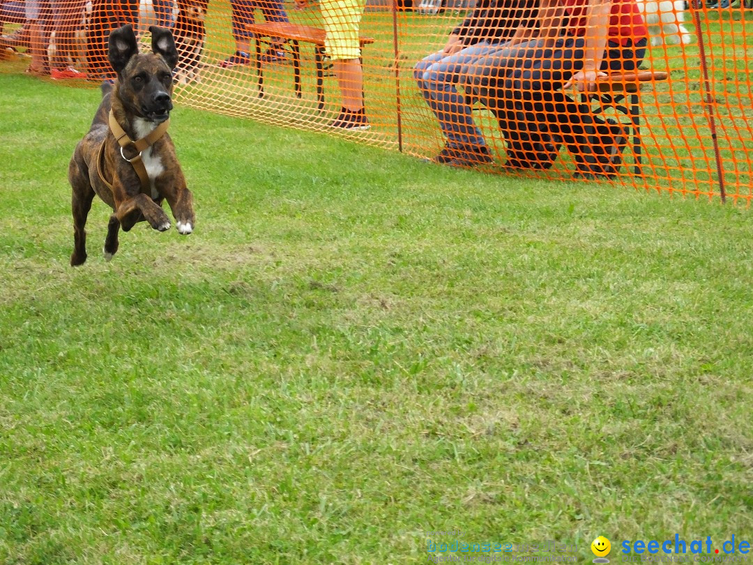 Struppirennen im Tierschutzverein: Bad-Saulgau, 04.09.2016