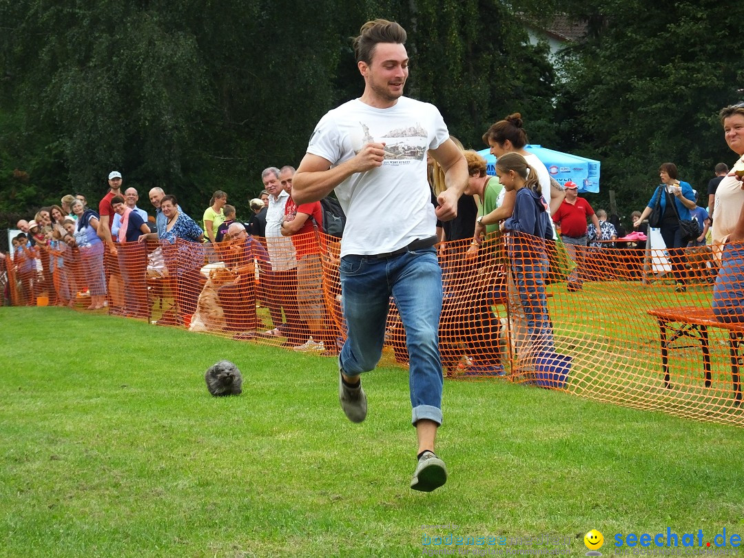 Struppirennen im Tierschutzverein: Bad-Saulgau, 04.09.2016