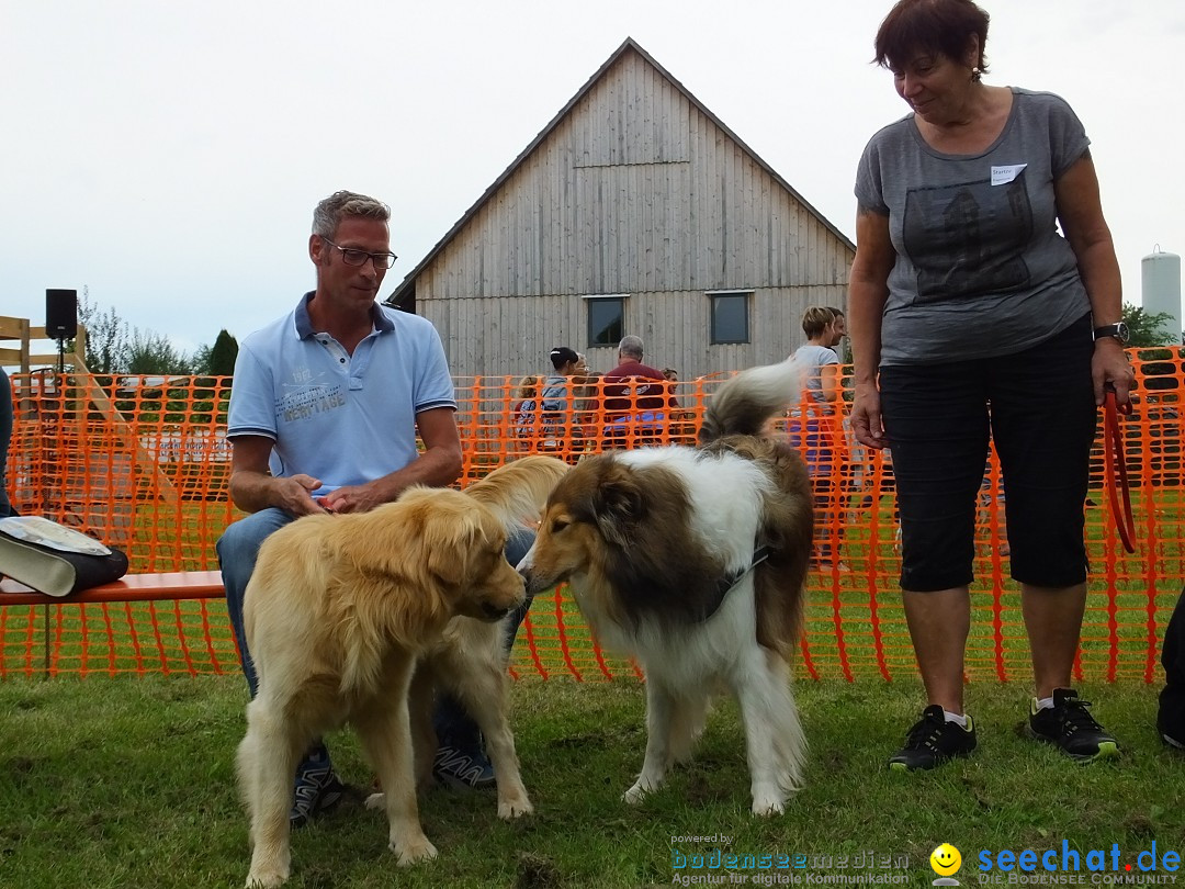 Struppirennen im Tierschutzverein: Bad-Saulgau, 04.09.2016