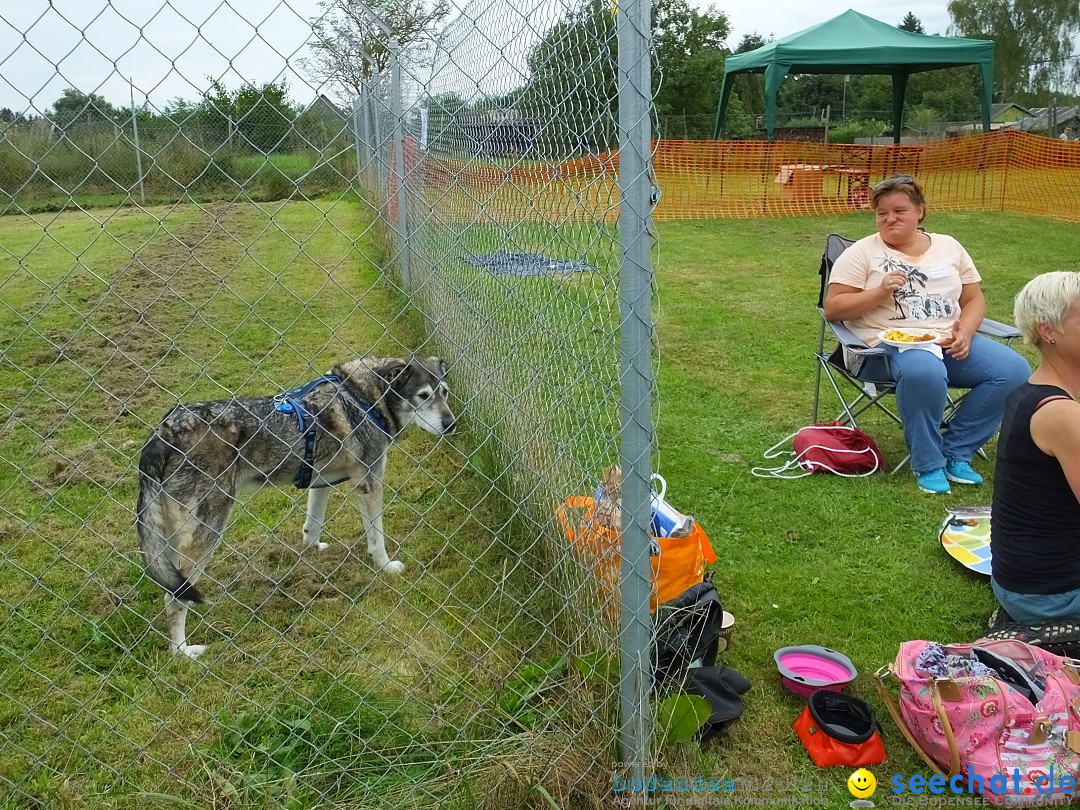 Struppirennen im Tierschutzverein: Bad-Saulgau, 04.09.2016