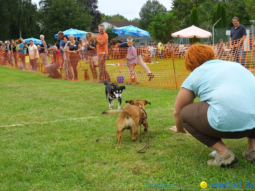 Struppirennen im Tierschutzverein: Bad-Saulgau, 04.09.2016