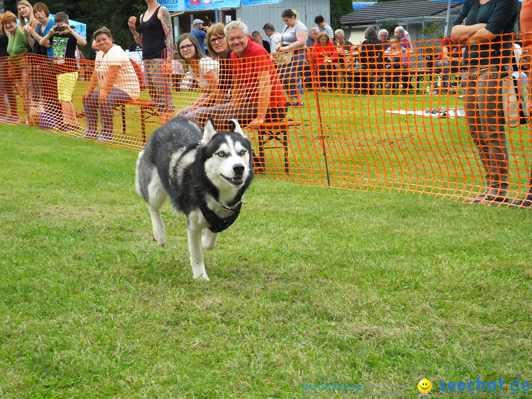 Struppirennen im Tierschutzverein: Bad-Saulgau, 04.09.2016