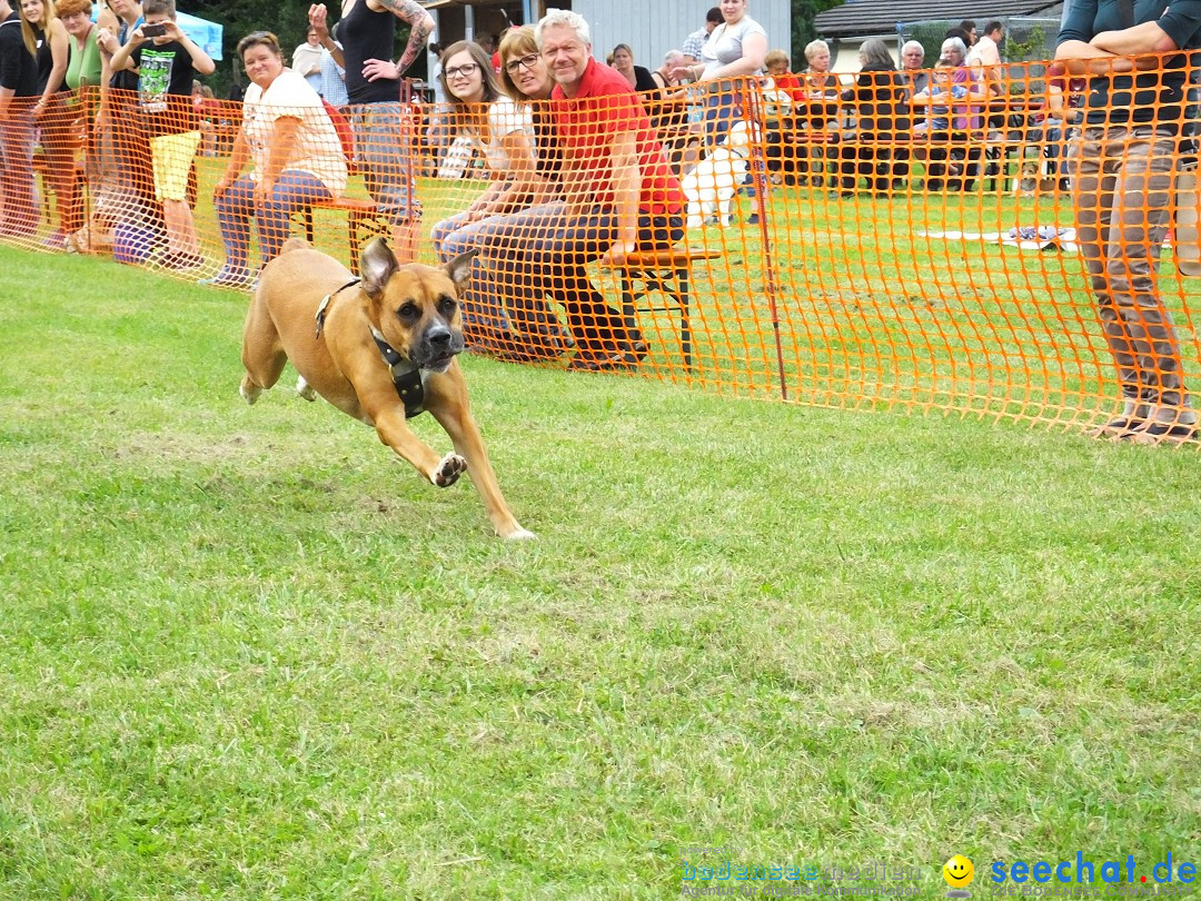 Struppirennen im Tierschutzverein: Bad-Saulgau, 04.09.2016