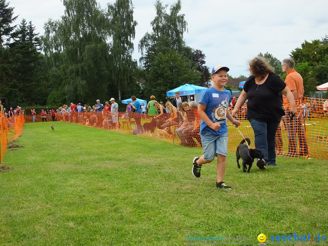 Struppirennen im Tierschutzverein: Bad-Saulgau, 04.09.2016