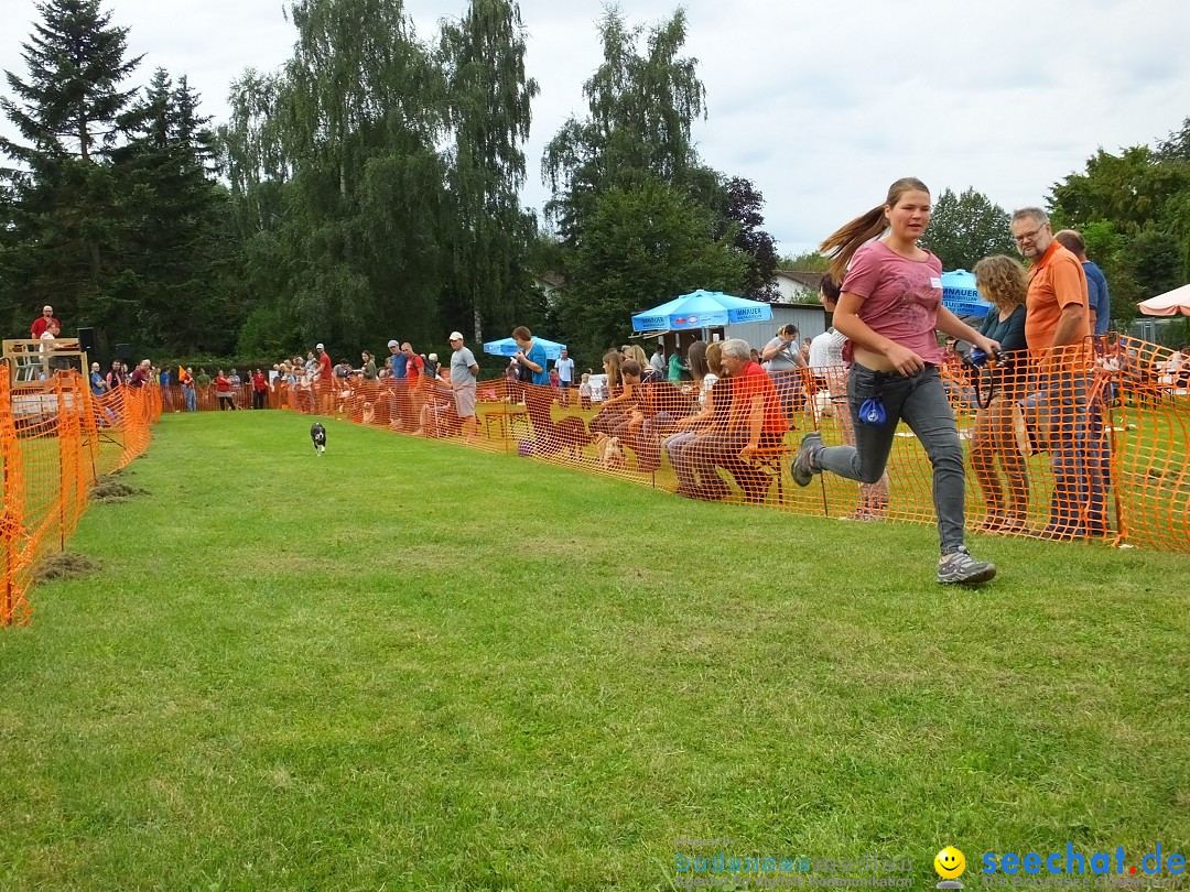 Struppirennen im Tierschutzverein: Bad-Saulgau, 04.09.2016