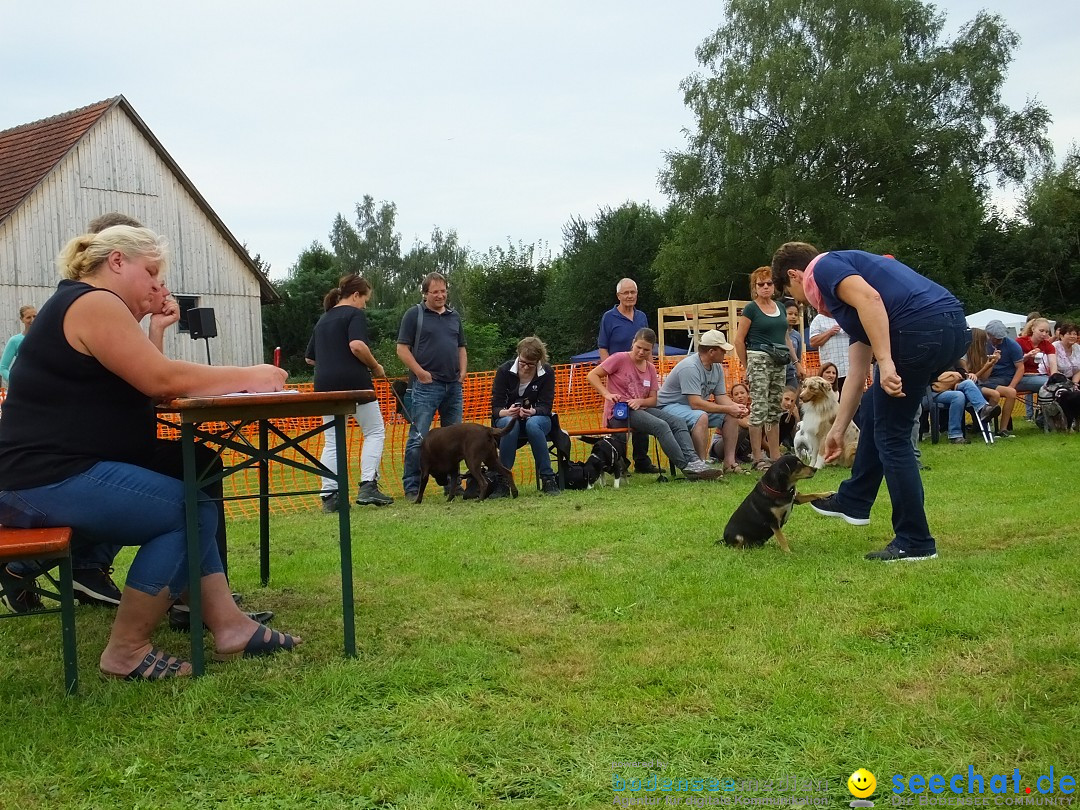 Struppirennen im Tierschutzverein: Bad-Saulgau, 04.09.2016