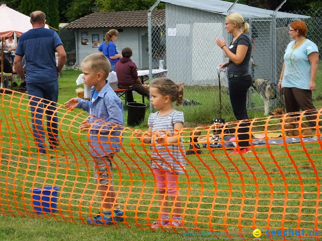 Struppirennen im Tierschutzverein: Bad-Saulgau, 04.09.2016