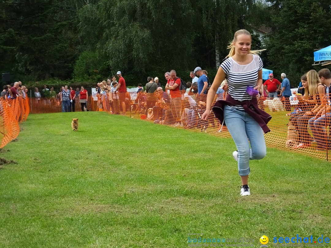 Struppirennen im Tierschutzverein: Bad-Saulgau, 04.09.2016