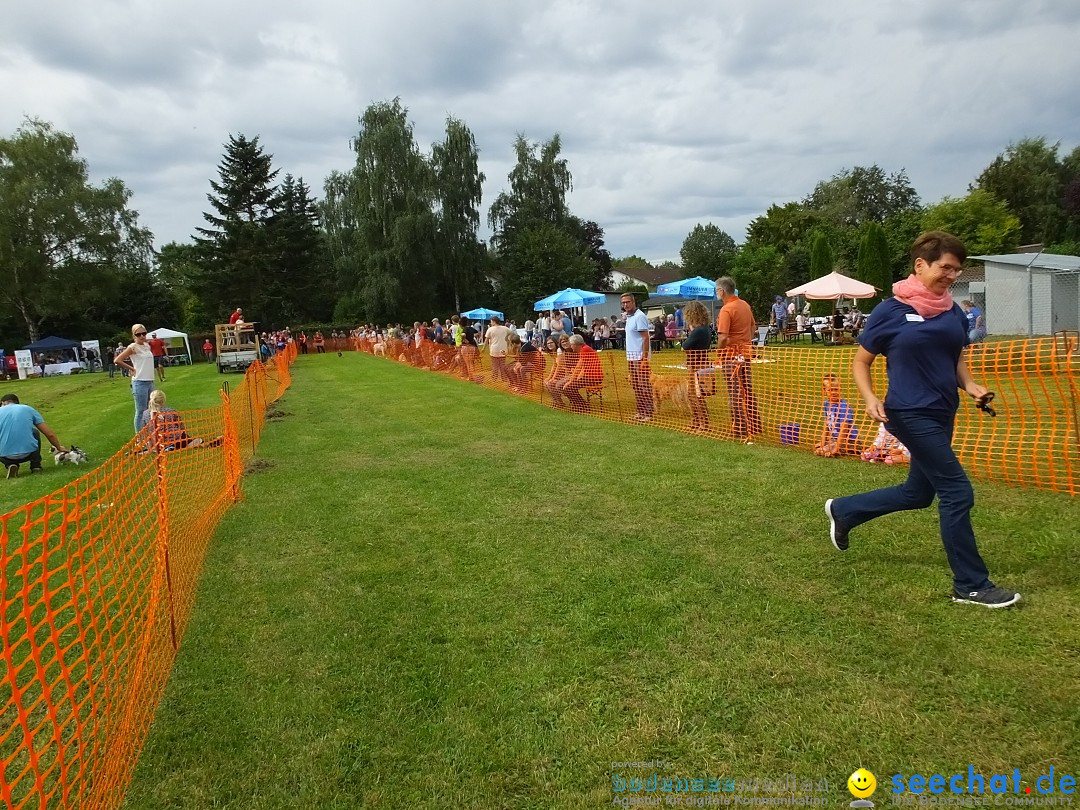 Struppirennen im Tierschutzverein: Bad-Saulgau, 04.09.2016