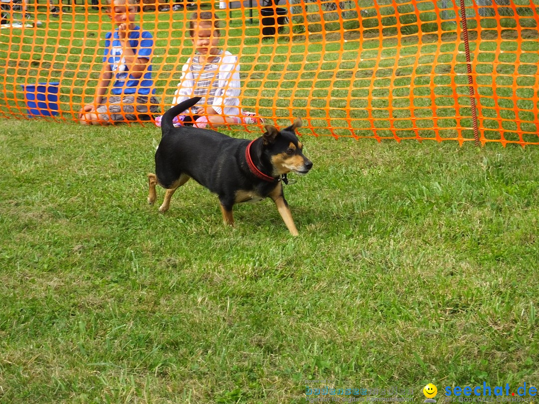 Struppirennen im Tierschutzverein: Bad-Saulgau, 04.09.2016