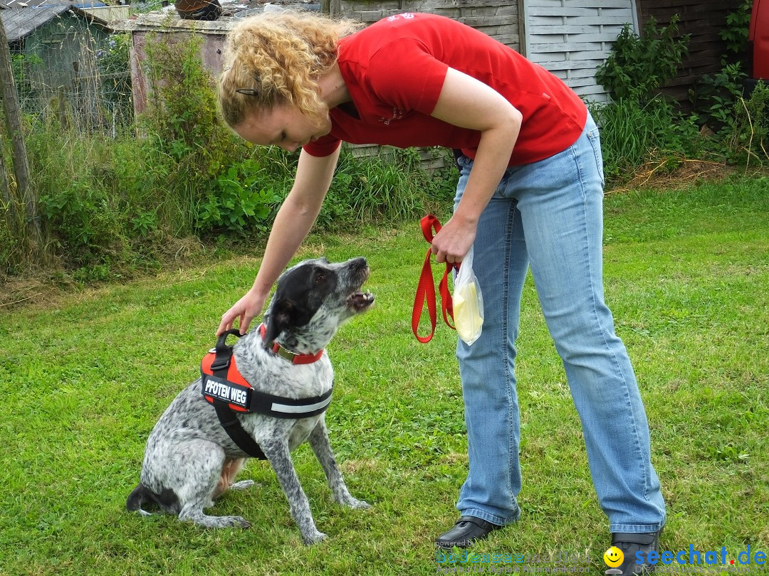 Struppirennen im Tierschutzverein: Bad-Saulgau, 04.09.2016