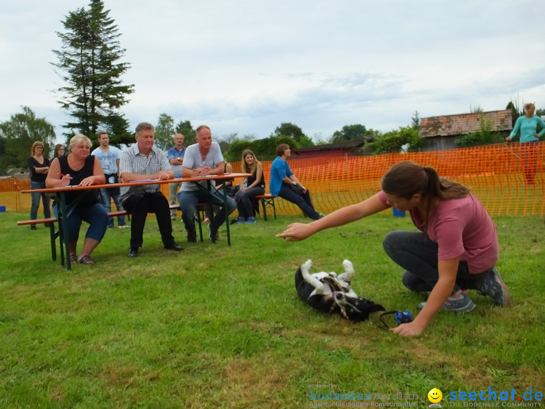 Struppirennen im Tierschutzverein: Bad-Saulgau, 04.09.2016