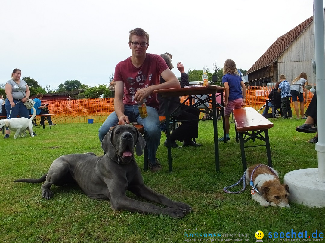 Struppirennen im Tierschutzverein: Bad-Saulgau, 04.09.2016