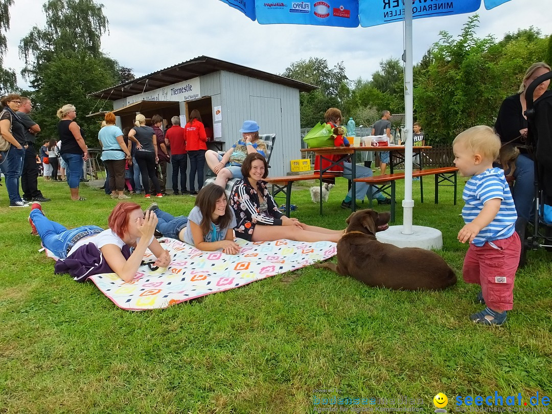 Struppirennen im Tierschutzverein: Bad-Saulgau, 04.09.2016