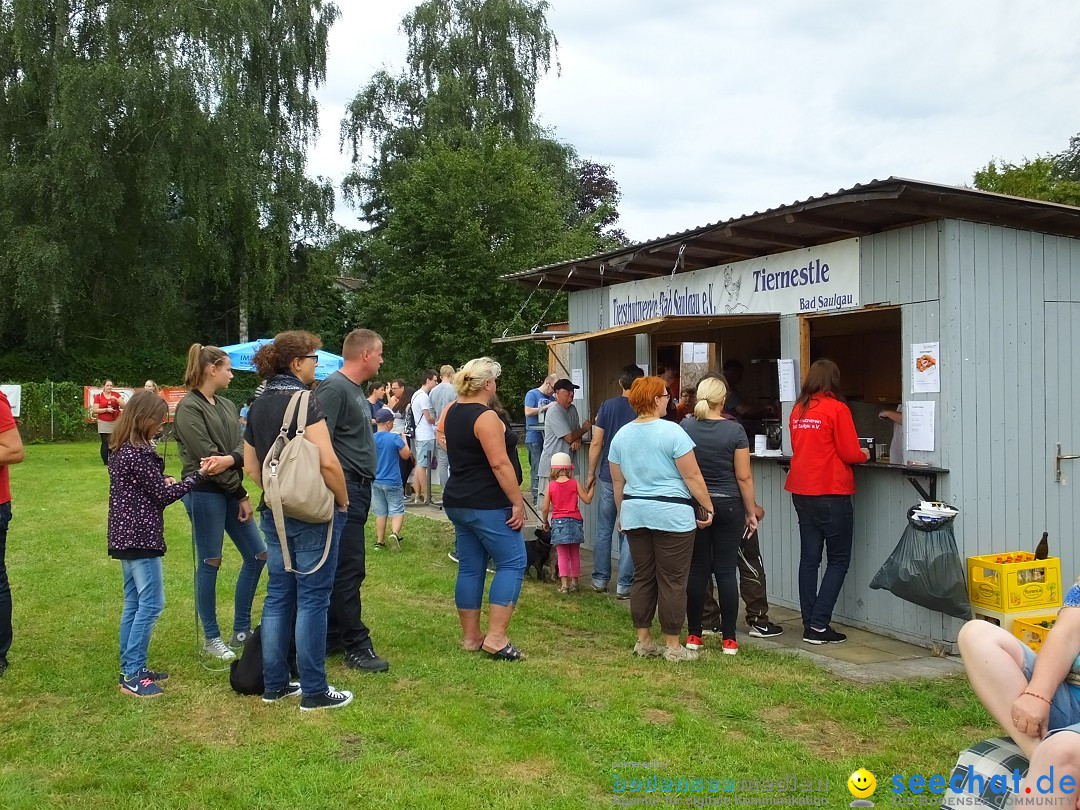 Struppirennen im Tierschutzverein: Bad-Saulgau, 04.09.2016