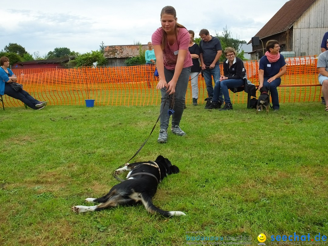 Struppirennen im Tierschutzverein: Bad-Saulgau, 04.09.2016