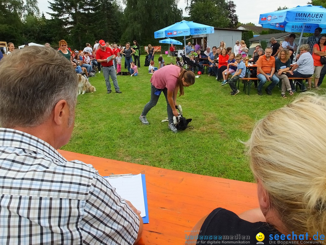 Struppirennen im Tierschutzverein: Bad-Saulgau, 04.09.2016