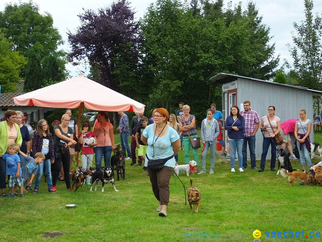 Struppirennen im Tierschutzverein: Bad-Saulgau, 04.09.2016