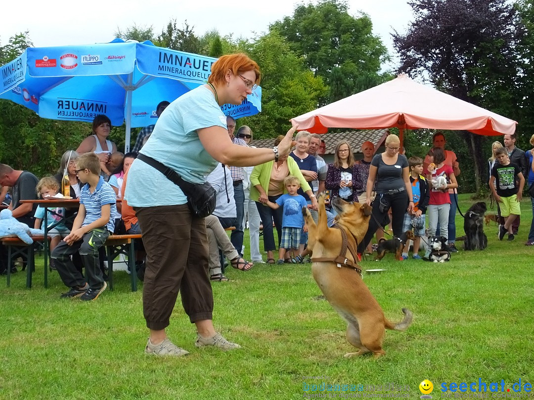 Struppirennen im Tierschutzverein: Bad-Saulgau, 04.09.2016