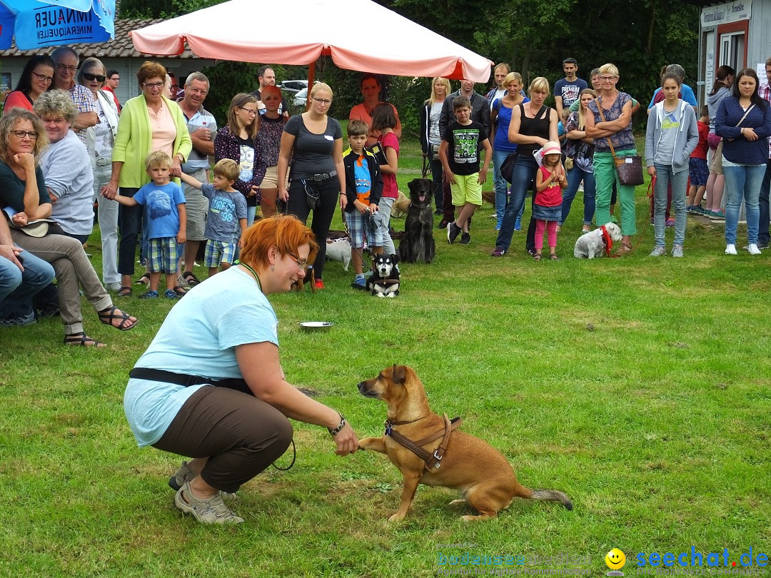 Struppirennen im Tierschutzverein: Bad-Saulgau, 04.09.2016