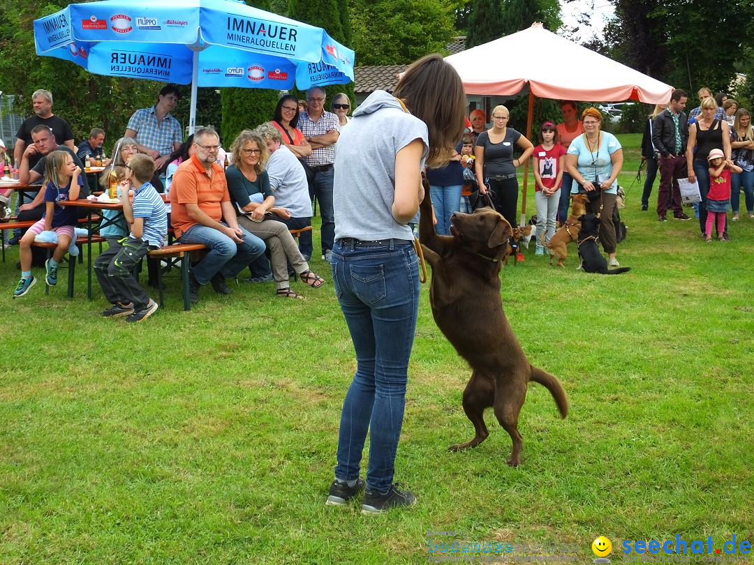 Struppirennen im Tierschutzverein: Bad-Saulgau, 04.09.2016