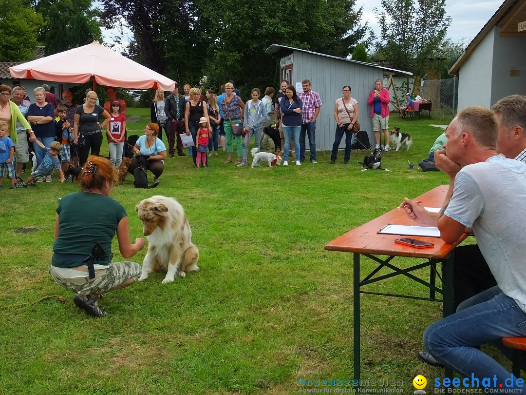 Struppirennen im Tierschutzverein: Bad-Saulgau, 04.09.2016