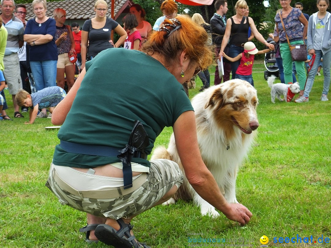 Struppirennen im Tierschutzverein: Bad-Saulgau, 04.09.2016