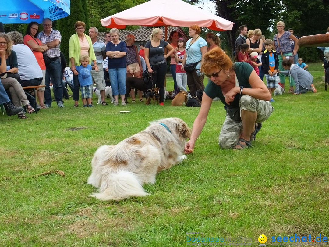 Struppirennen im Tierschutzverein: Bad-Saulgau, 04.09.2016