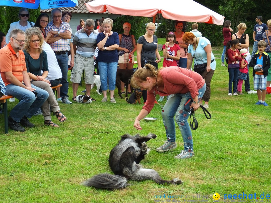 Struppirennen im Tierschutzverein: Bad-Saulgau, 04.09.2016