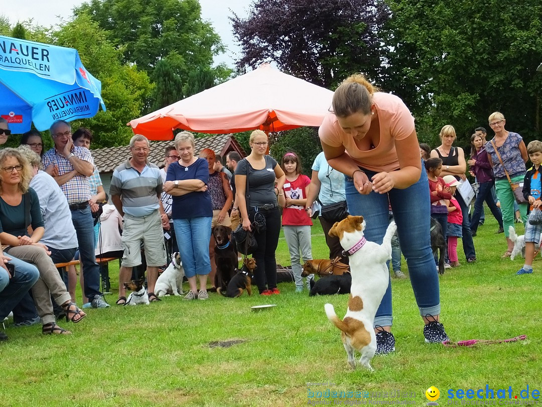 Struppirennen im Tierschutzverein: Bad-Saulgau, 04.09.2016