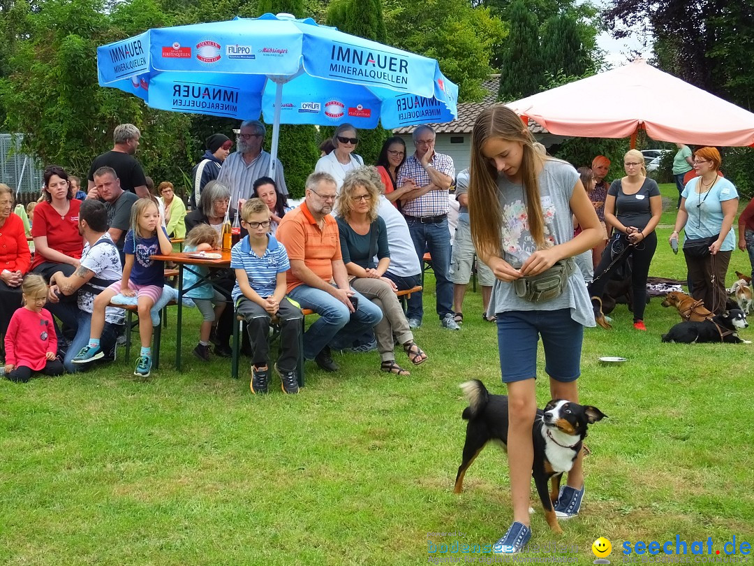 Struppirennen im Tierschutzverein: Bad-Saulgau, 04.09.2016