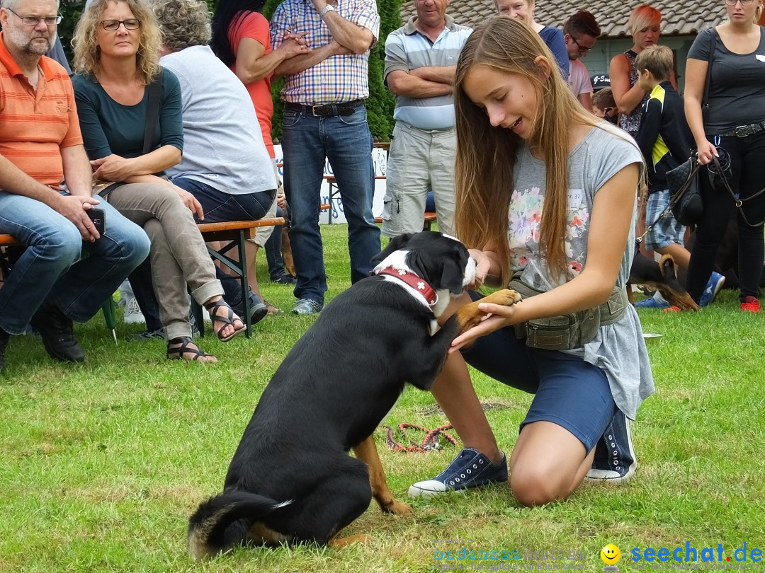 Struppirennen im Tierschutzverein: Bad-Saulgau, 04.09.2016