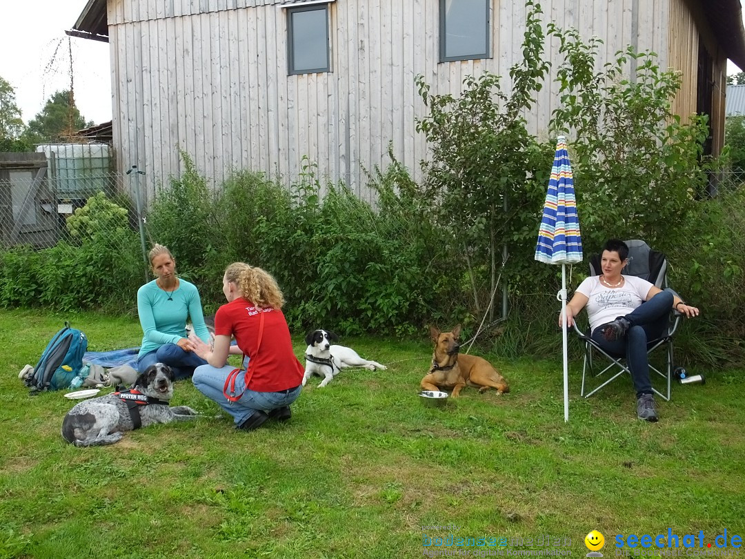 Struppirennen im Tierschutzverein: Bad-Saulgau, 04.09.2016