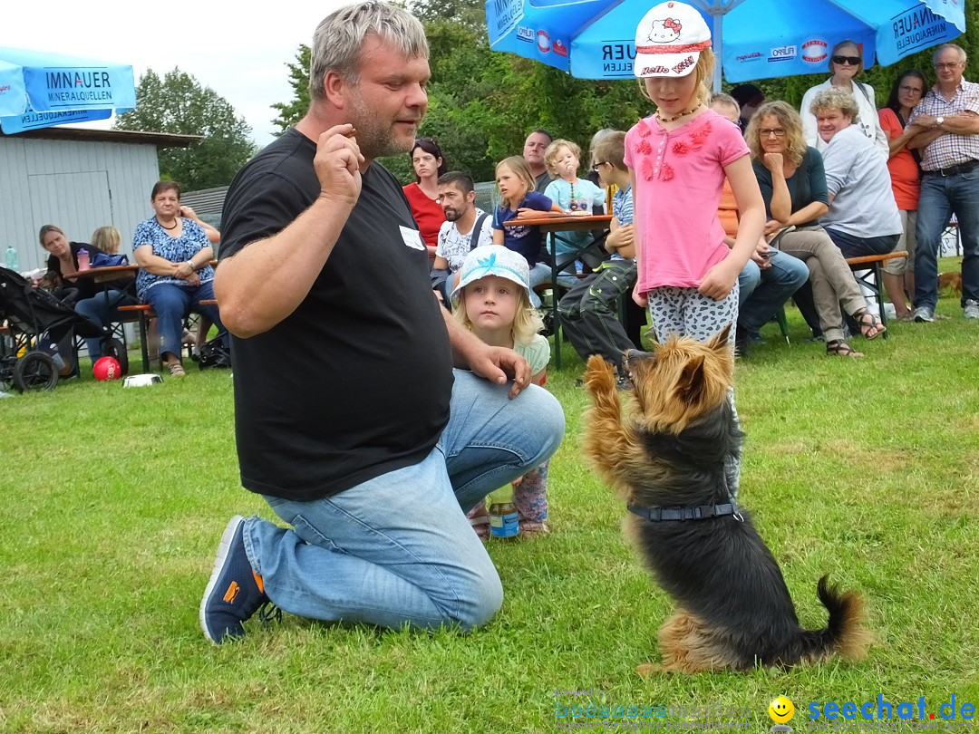 Struppirennen im Tierschutzverein: Bad-Saulgau, 04.09.2016