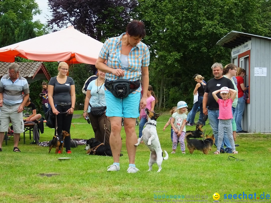 Struppirennen im Tierschutzverein: Bad-Saulgau, 04.09.2016