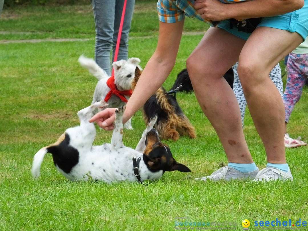 Struppirennen im Tierschutzverein: Bad-Saulgau, 04.09.2016