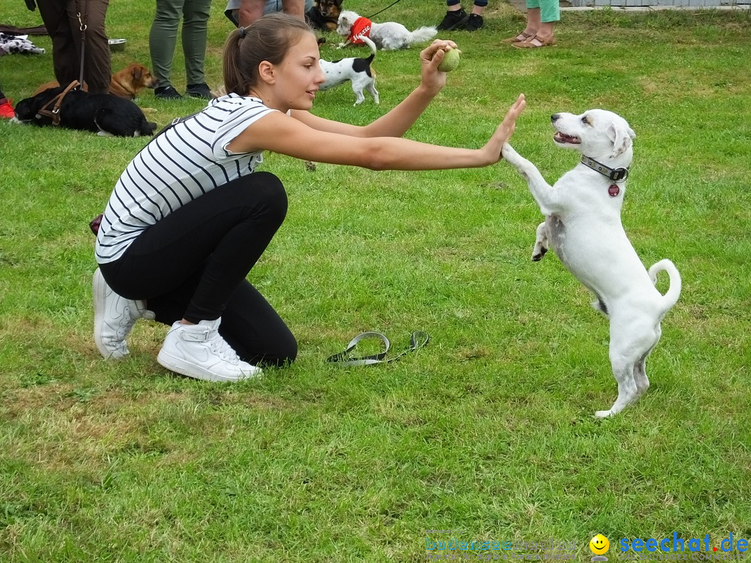 Struppirennen im Tierschutzverein: Bad-Saulgau, 04.09.2016