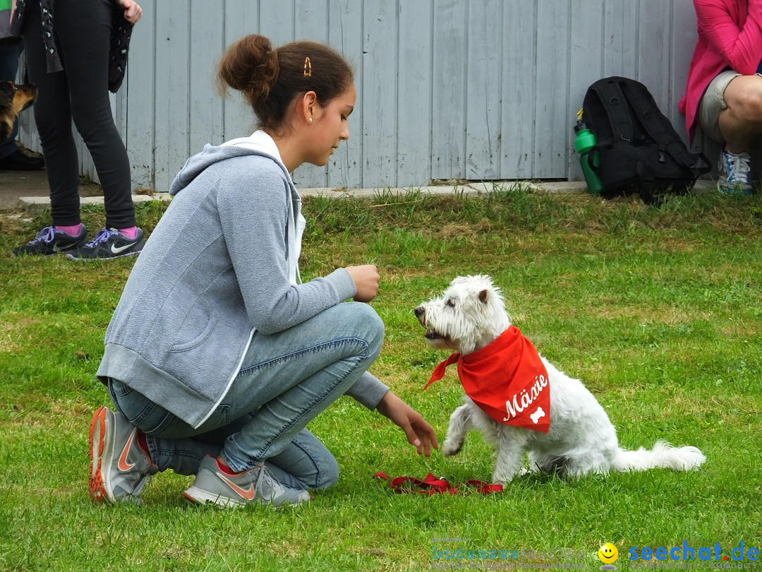 Struppirennen im Tierschutzverein: Bad-Saulgau, 04.09.2016