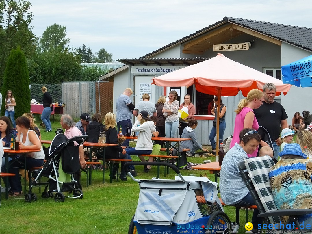 Struppirennen im Tierschutzverein: Bad-Saulgau, 04.09.2016