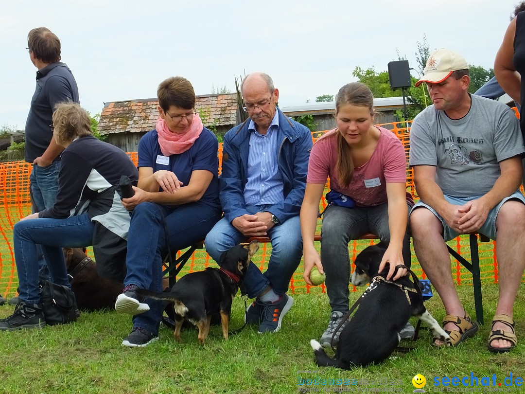 Struppirennen im Tierschutzverein: Bad-Saulgau, 04.09.2016