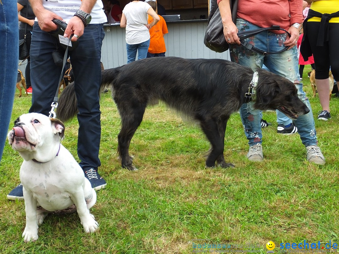 Struppirennen im Tierschutzverein: Bad-Saulgau, 04.09.2016