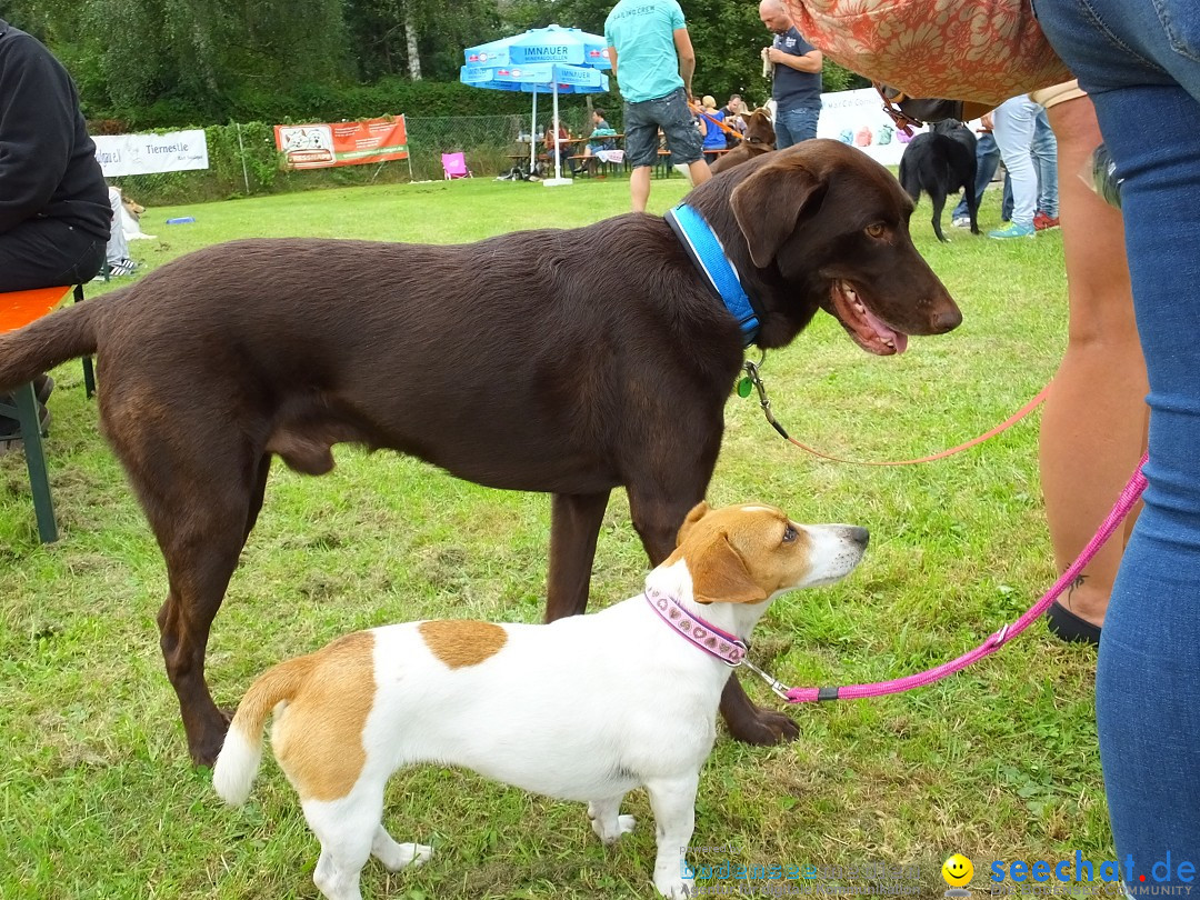 Struppirennen im Tierschutzverein: Bad-Saulgau, 04.09.2016