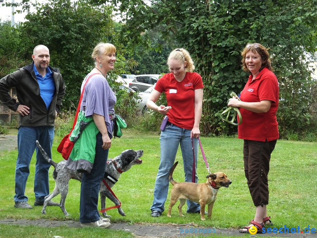 Struppirennen im Tierschutzverein: Bad-Saulgau, 04.09.2016