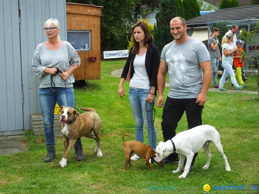 Struppirennen im Tierschutzverein: Bad-Saulgau, 04.09.2016