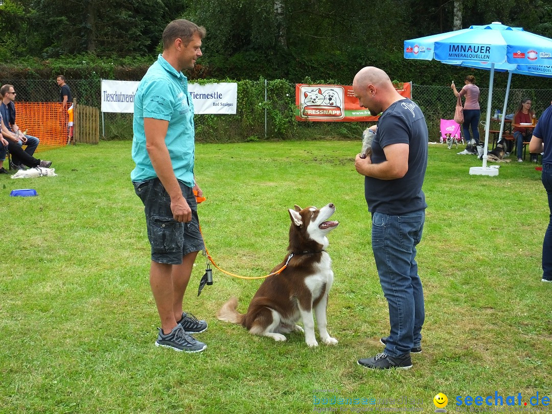 Struppirennen im Tierschutzverein: Bad-Saulgau, 04.09.2016