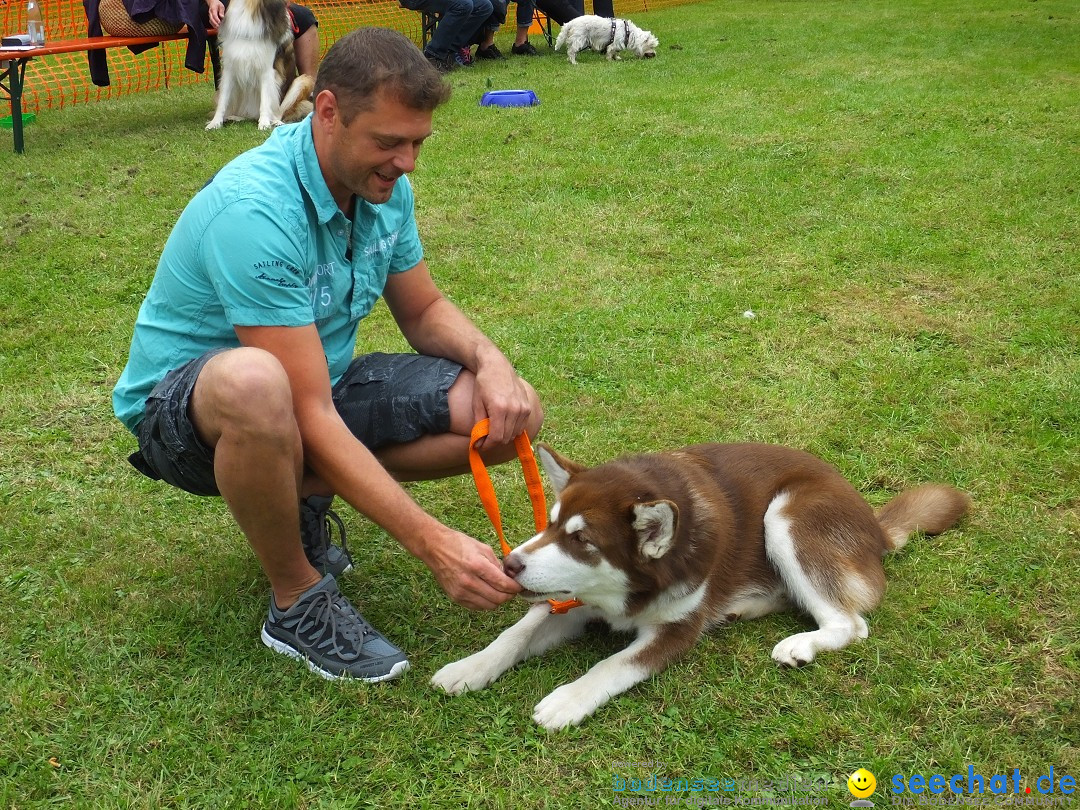 Struppirennen im Tierschutzverein: Bad-Saulgau, 04.09.2016