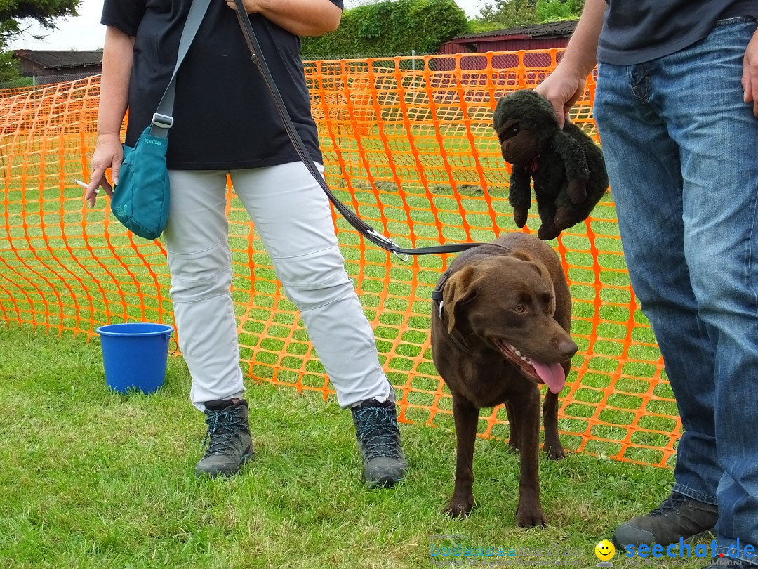 Struppirennen im Tierschutzverein: Bad-Saulgau, 04.09.2016