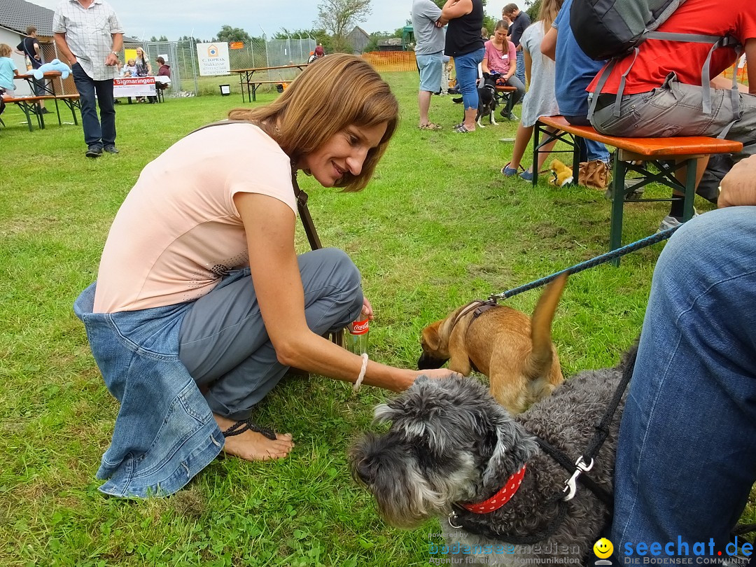 Struppirennen im Tierschutzverein: Bad-Saulgau, 04.09.2016