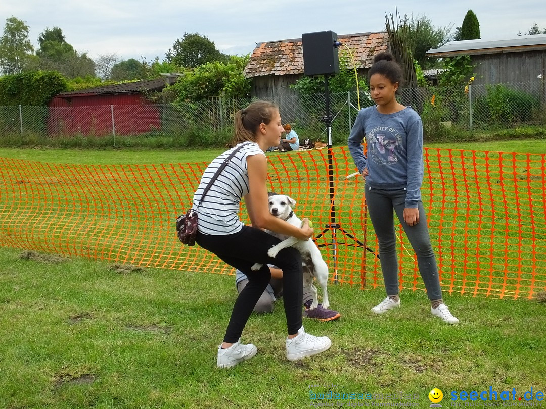 Struppirennen im Tierschutzverein: Bad-Saulgau, 04.09.2016